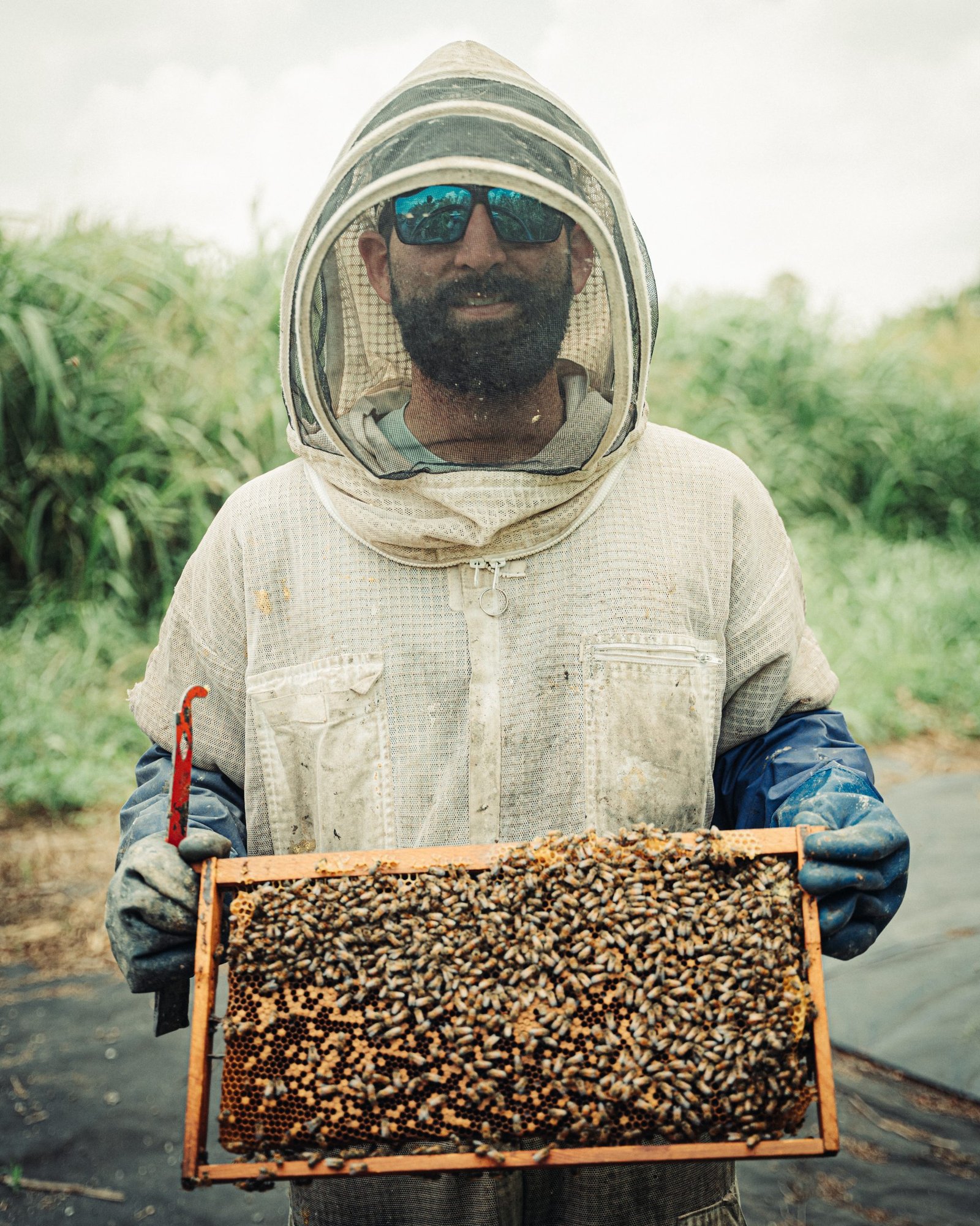 A men holding on the a swarm bee