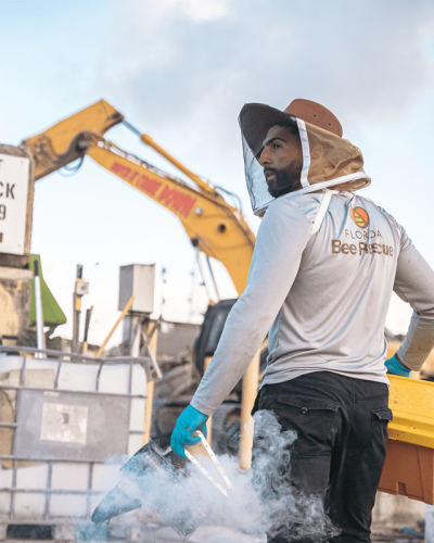 bee removal team person